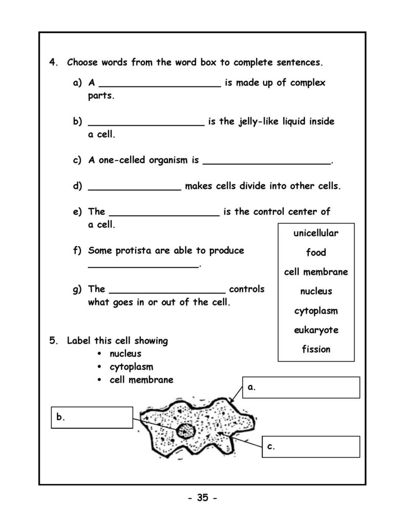 Classification of Living Things - DaviesandJohnson